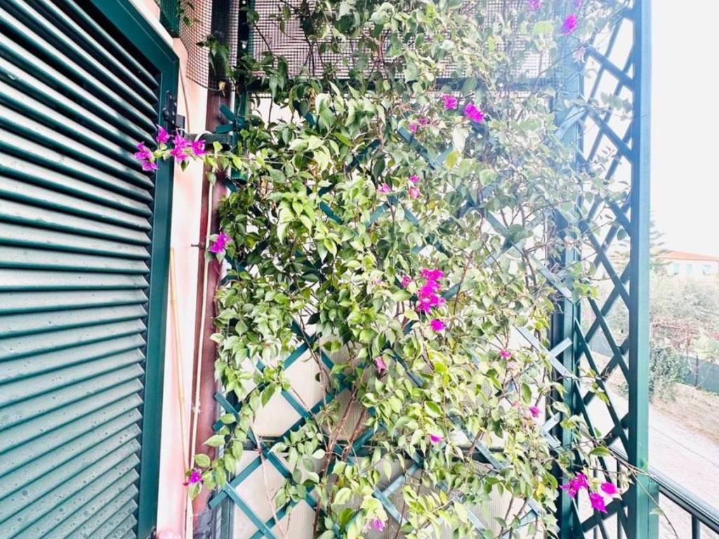 Appartamento a Rosignano marittimo - Foto 3