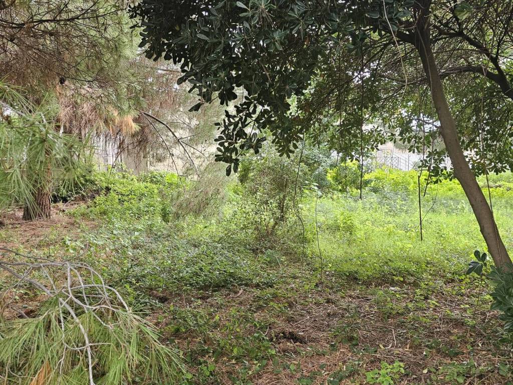 Terreno a Messina - Foto 2