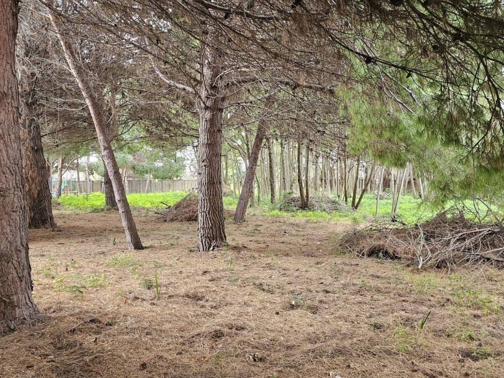 Terreno a Messina - Foto 3