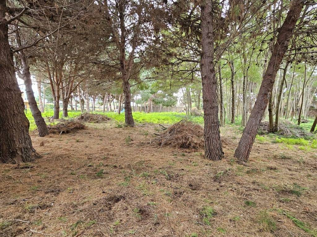Terreno a Messina - Foto 4