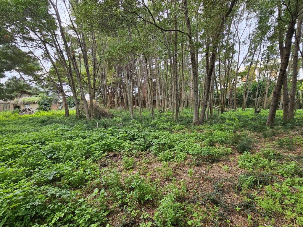 Terreno a Messina - Foto 5