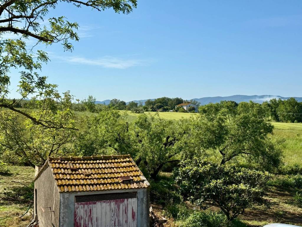 Rustico / casale a Magliano in toscana in LA CARLA - Foto 4
