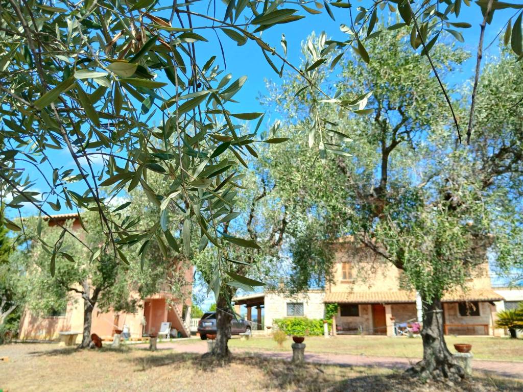 Villa a Ancarano - Foto 4