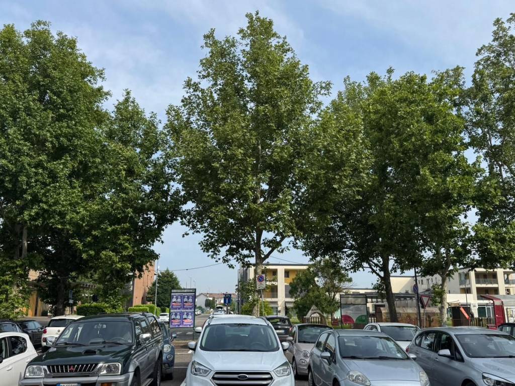 Attico / mansarda a Piacenza - Foto 3