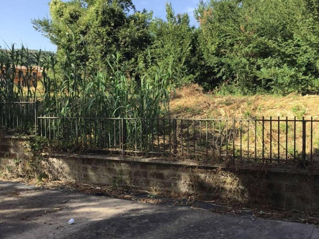 Appartamento a Orte in Via dei Battellieri - Foto 3