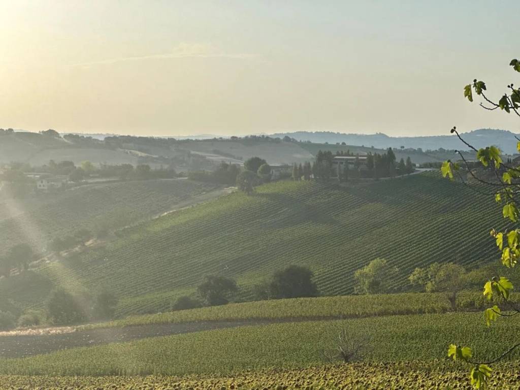 Terreno a San costanzo in Strada Solfanuccio - Foto 2