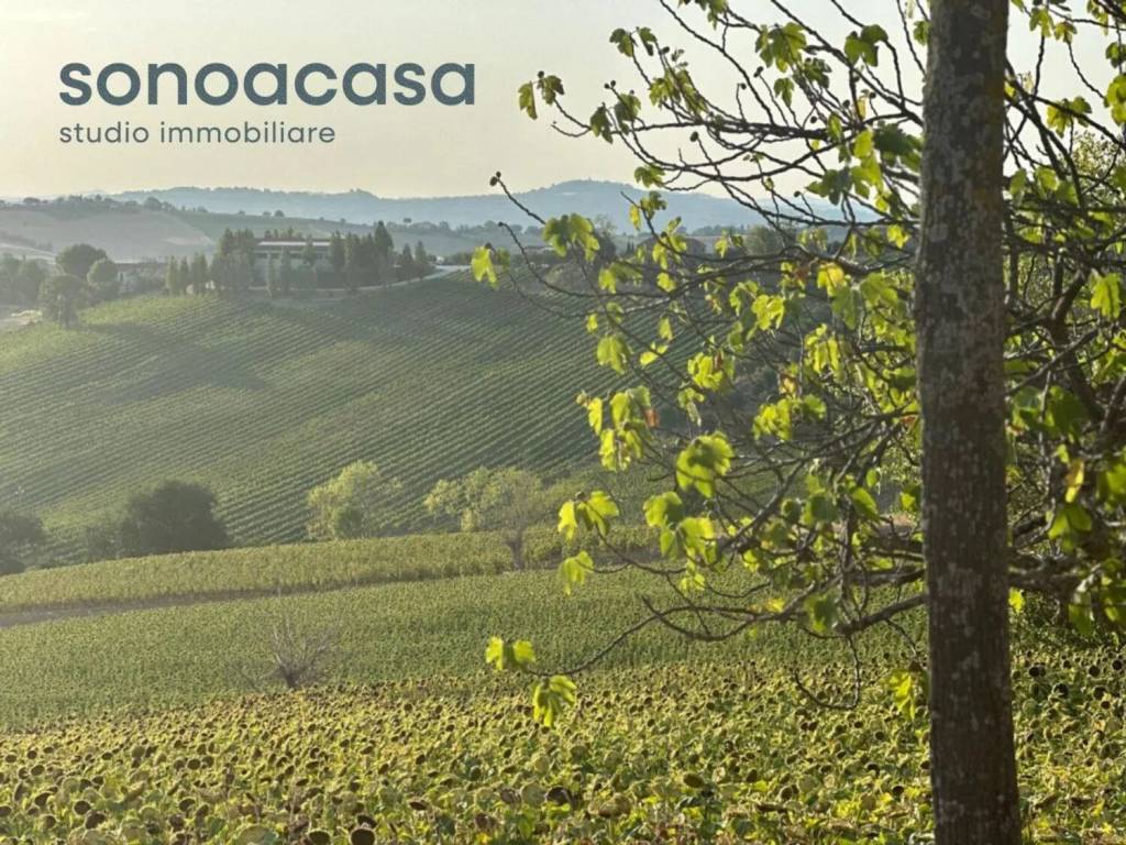 Terreno a San costanzo in Strada Solfanuccio - Foto 5
