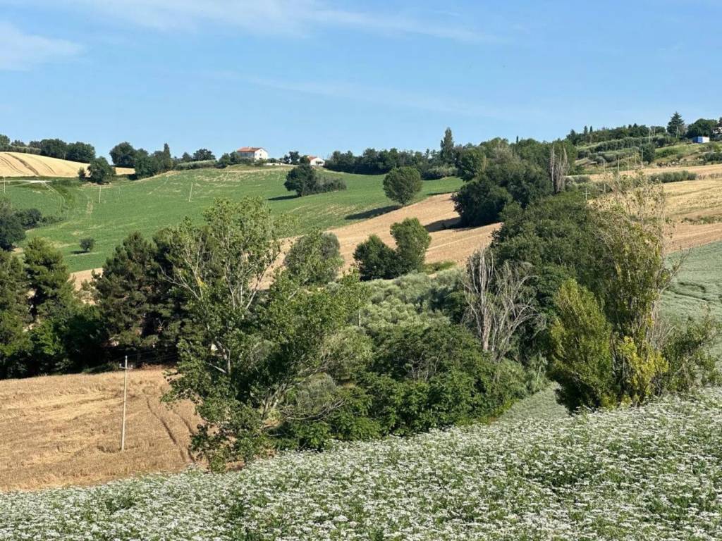 Terreno a Trecastelli in Viale Enzo Paci S.N.C. - Foto 2