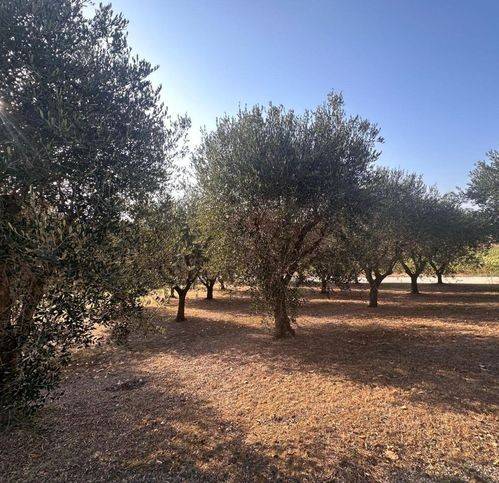 Terreno a San costanzo in Strada Solfanuccio - Foto 3