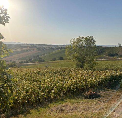 Terreno a San costanzo in Strada Solfanuccio - Foto 4