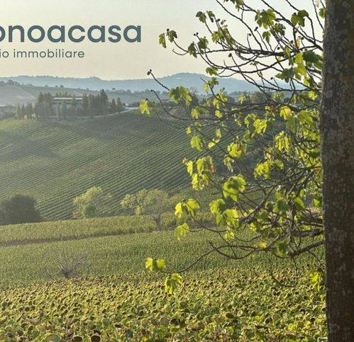 Terreno a San costanzo in Strada Solfanuccio - Foto 5
