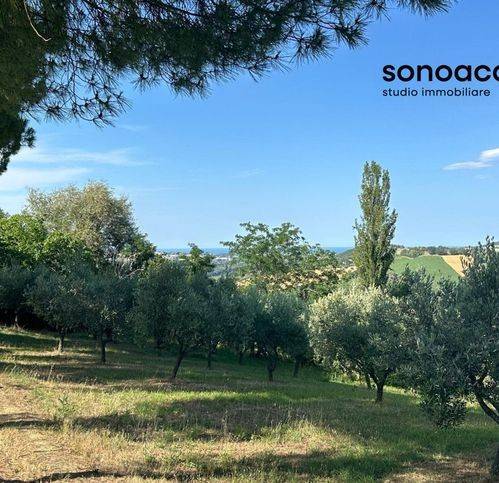 Terreno a Trecastelli in Viale Enzo Paci - Foto 3