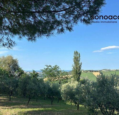 Terreno a Trecastelli in Viale Enzo Paci - Foto 4