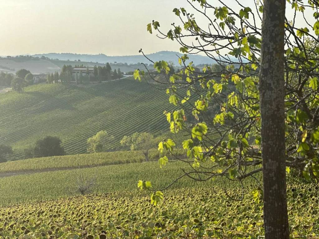 Rustico / casale a San costanzo in Strada Vencareto, 19 - Foto 2