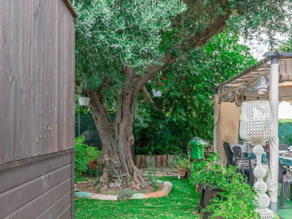 Rustico / casale a Mondolfo - Foto 2