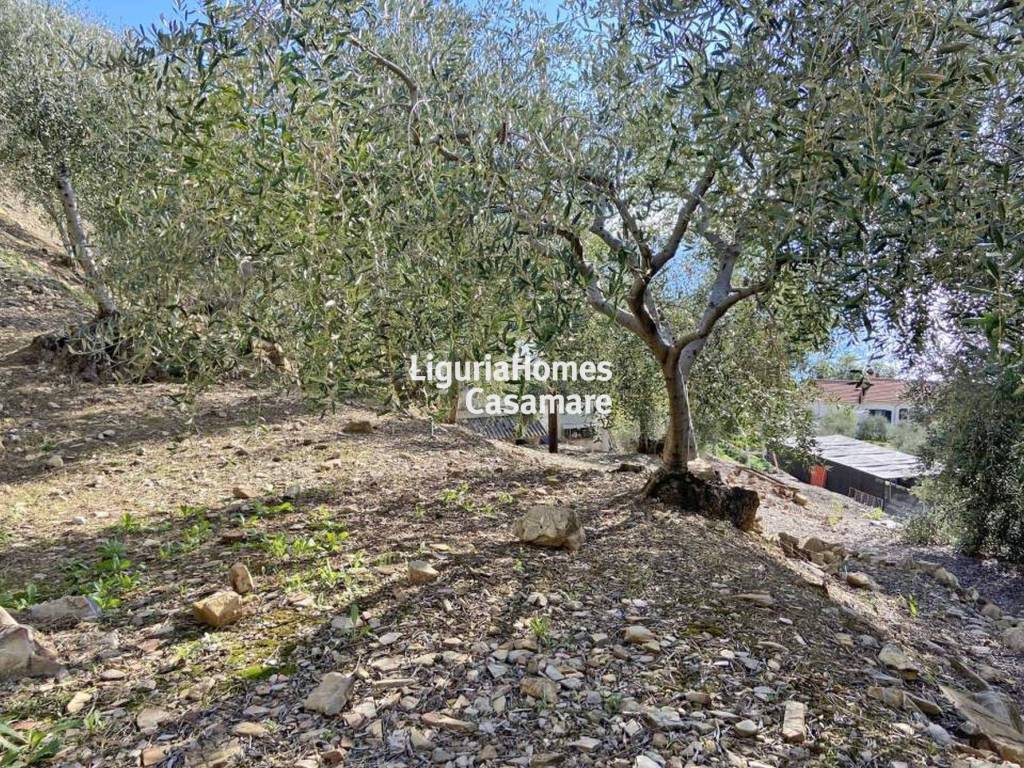 Terreno a Cipressa in Regione Ronchi - Foto 3