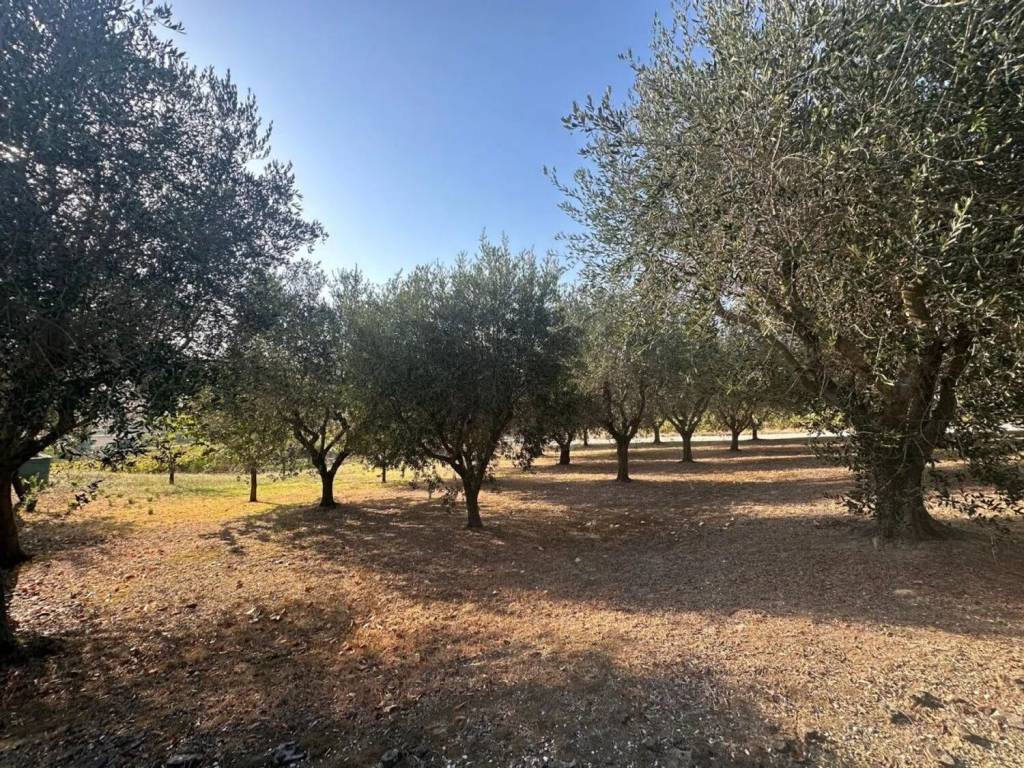 Villa a San costanzo in Strada Vencareto, 19 - Foto 2