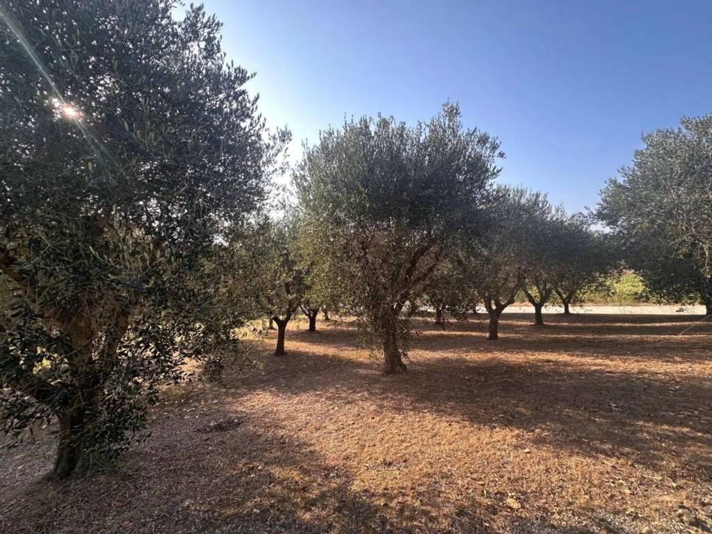Villa a San costanzo in Strada Vencareto, 19 - Foto 3