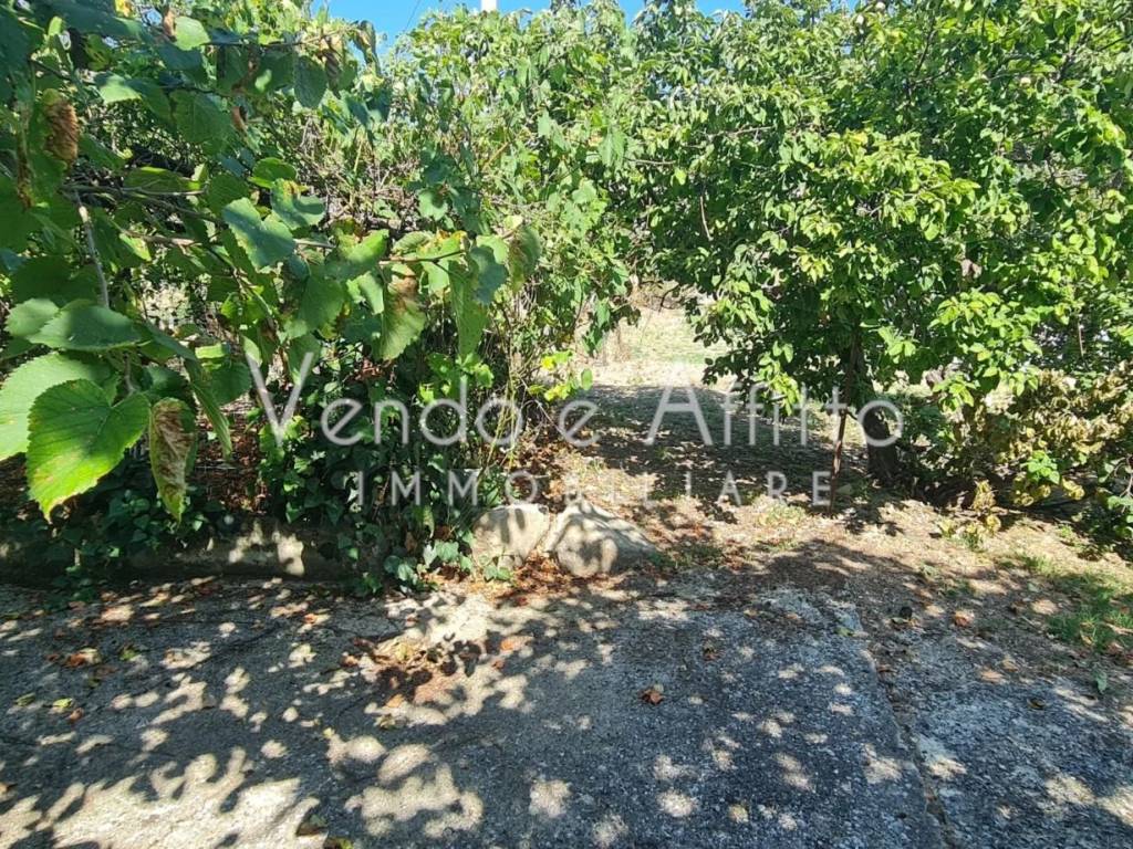 Rustico / casale a Trivento - Foto 5