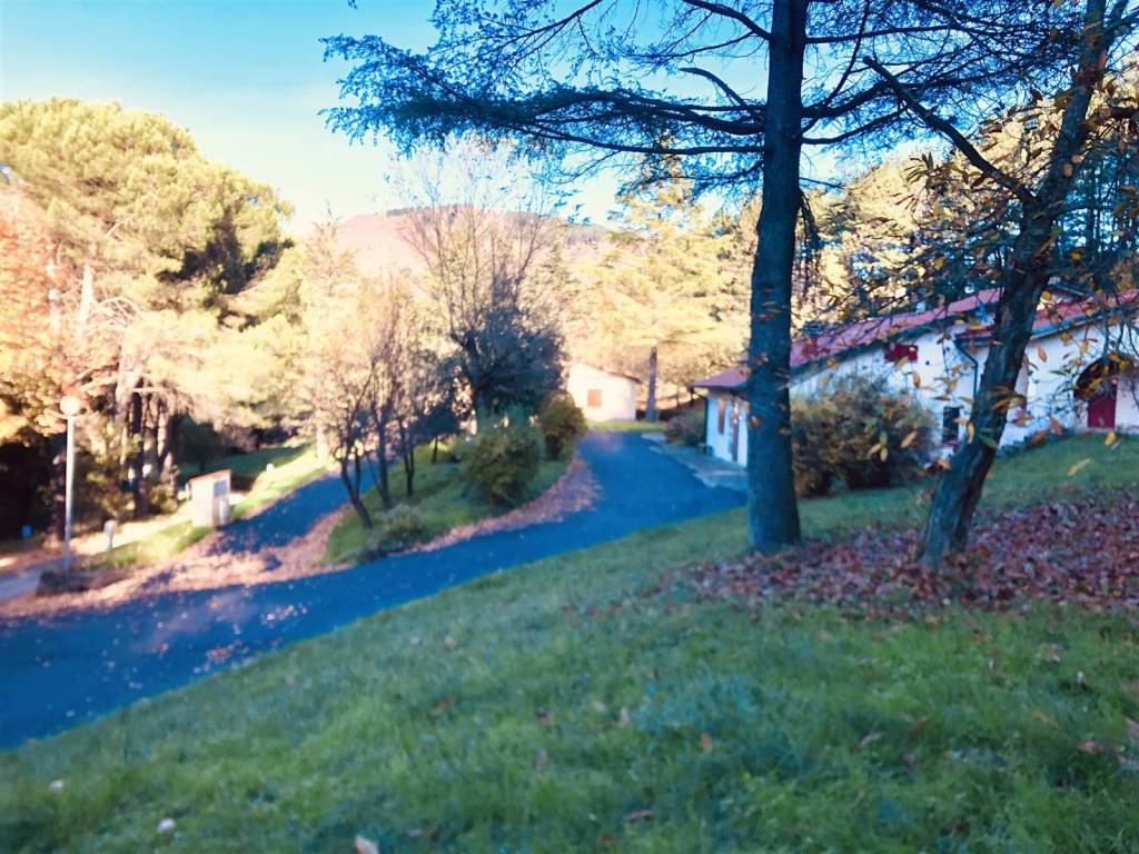 Appartamento a Arcidosso in Località Aiole - Foto 2