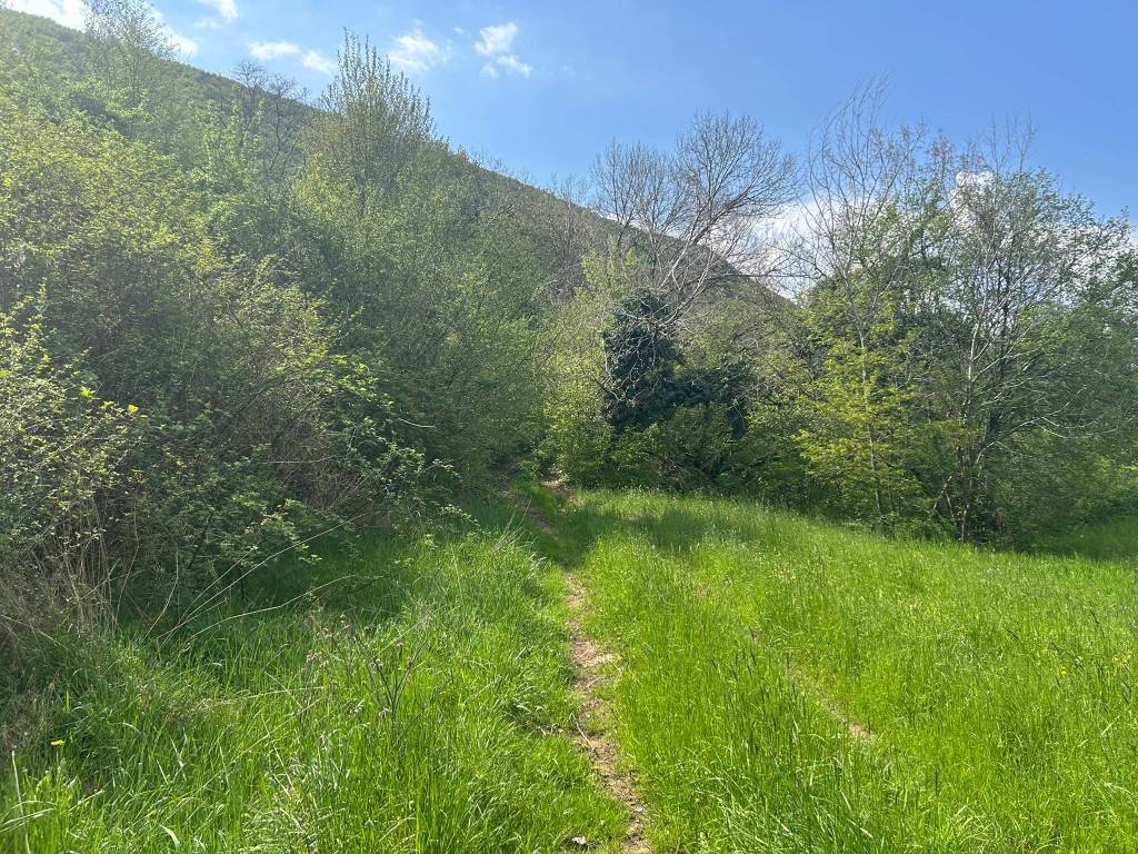 Terreno a San zeno di montagna in Via Prà Cappello - Foto 3