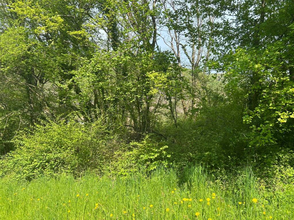 Terreno a San zeno di montagna in Via Prà Cappello - Foto 4
