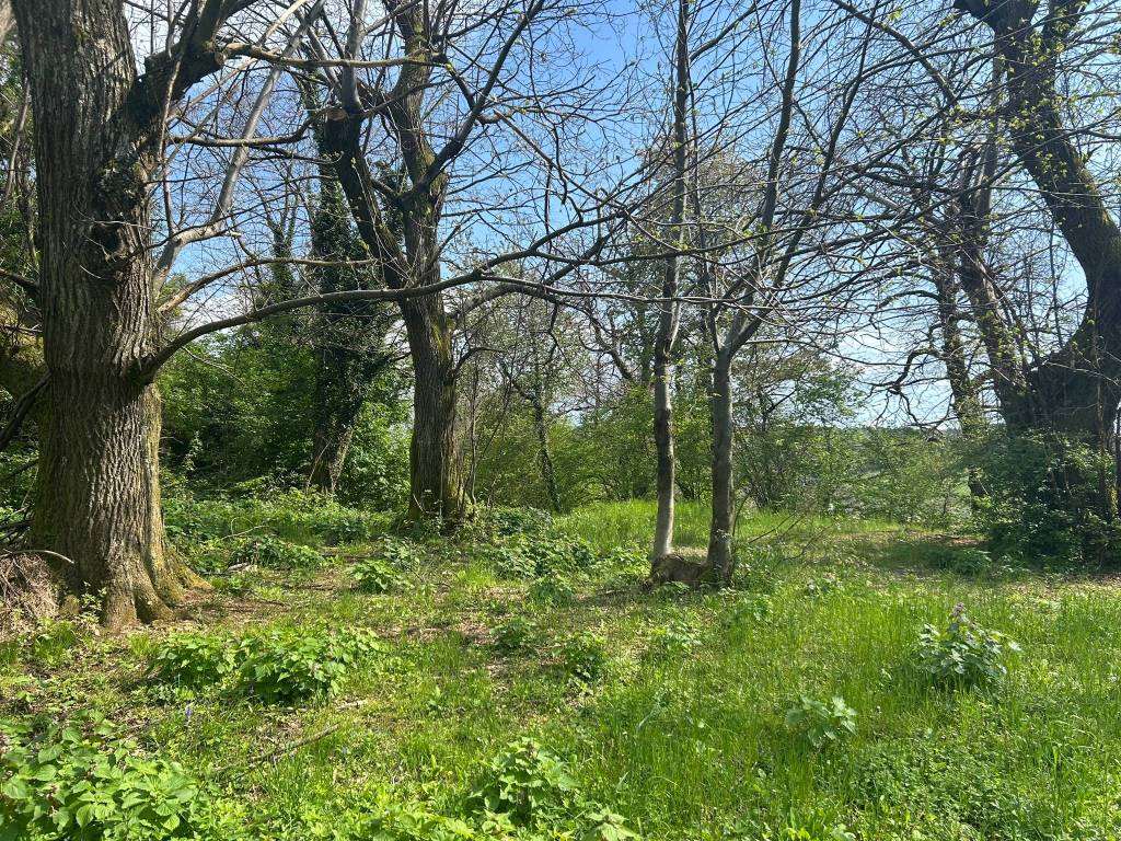Terreno a San zeno di montagna in Via Prà Cappello - Foto 5