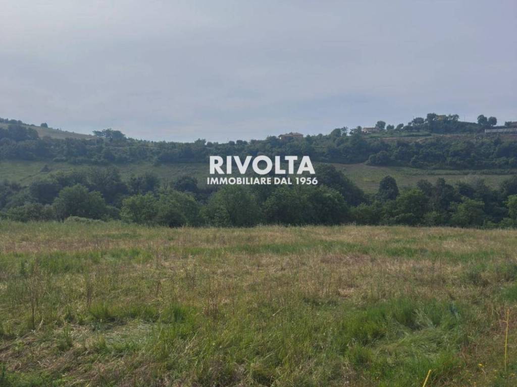 Terreno a Collevecchio in Via Collefiore - Foto 4