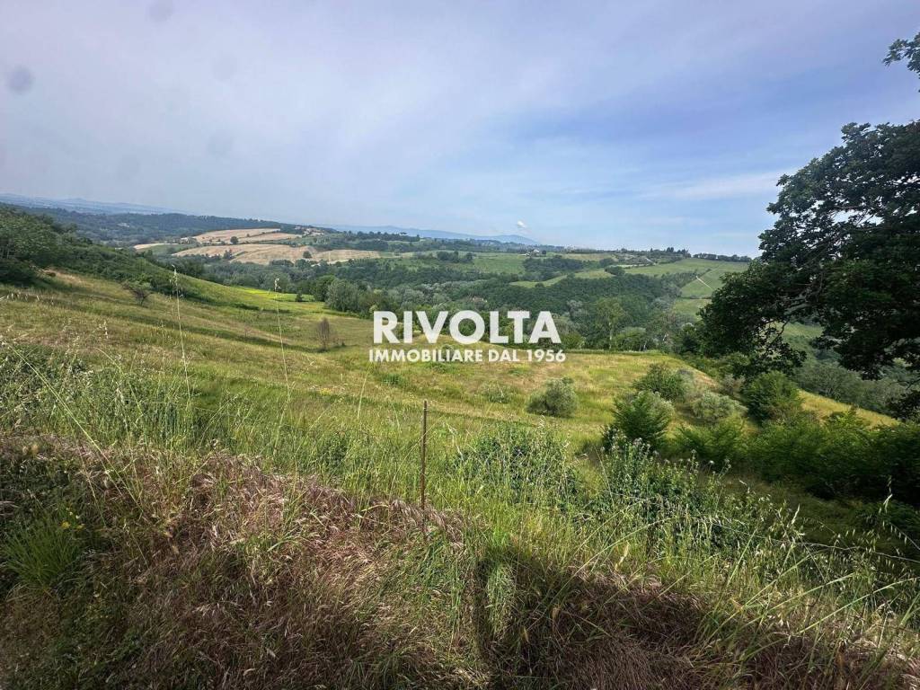 Terreno a Collevecchio in Via Collefiore - Foto 5