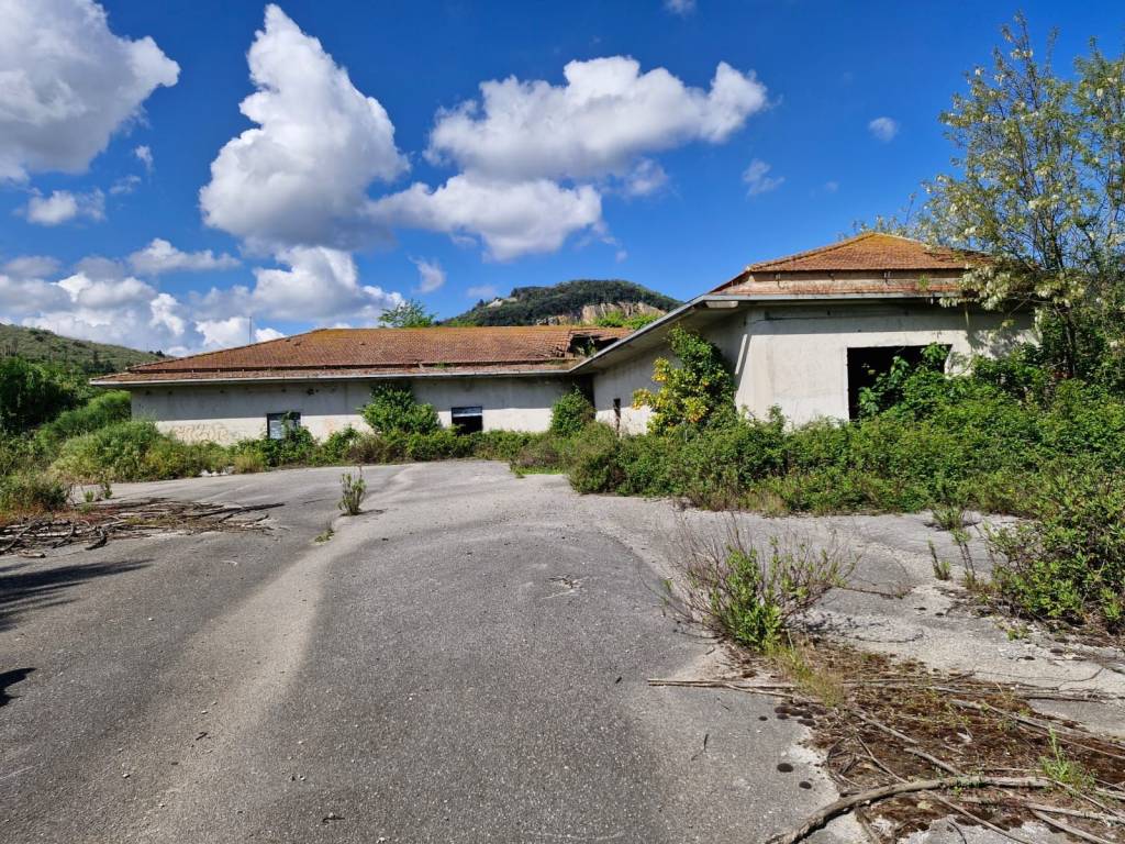 Terreno a Pontelatone in Via Ponte Pellegrino - Foto 5