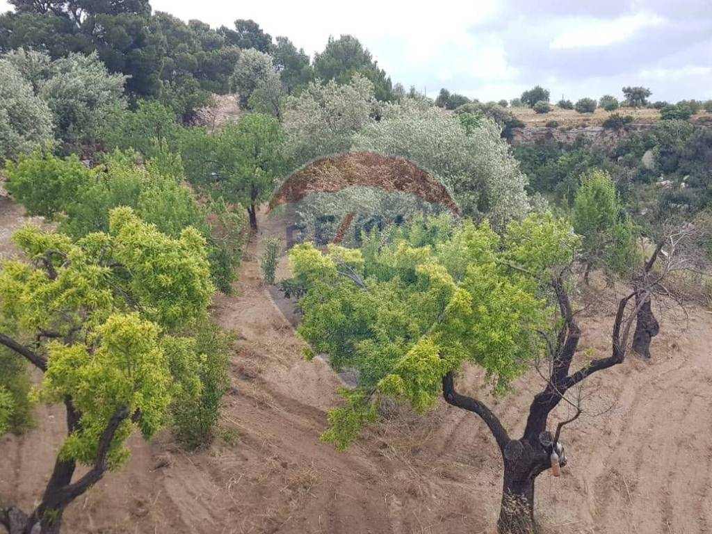 Terreno a Noto in Contrada San Giovanni Meti - Foto 4