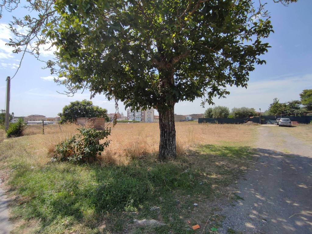 Terreno a Recale in Viale dei Pini - Foto 4