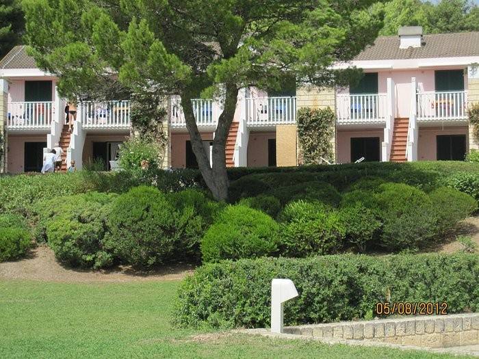 Appartamento a Vieste in Strada Provinciale Campi-Pugnochiuso Coppa San Tecla - Foto 2