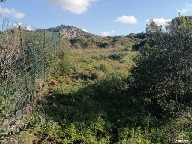 Terreno a Aglientu - Foto 2