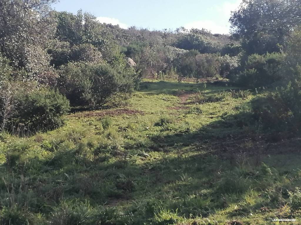 Terreno a Aglientu - Foto 3