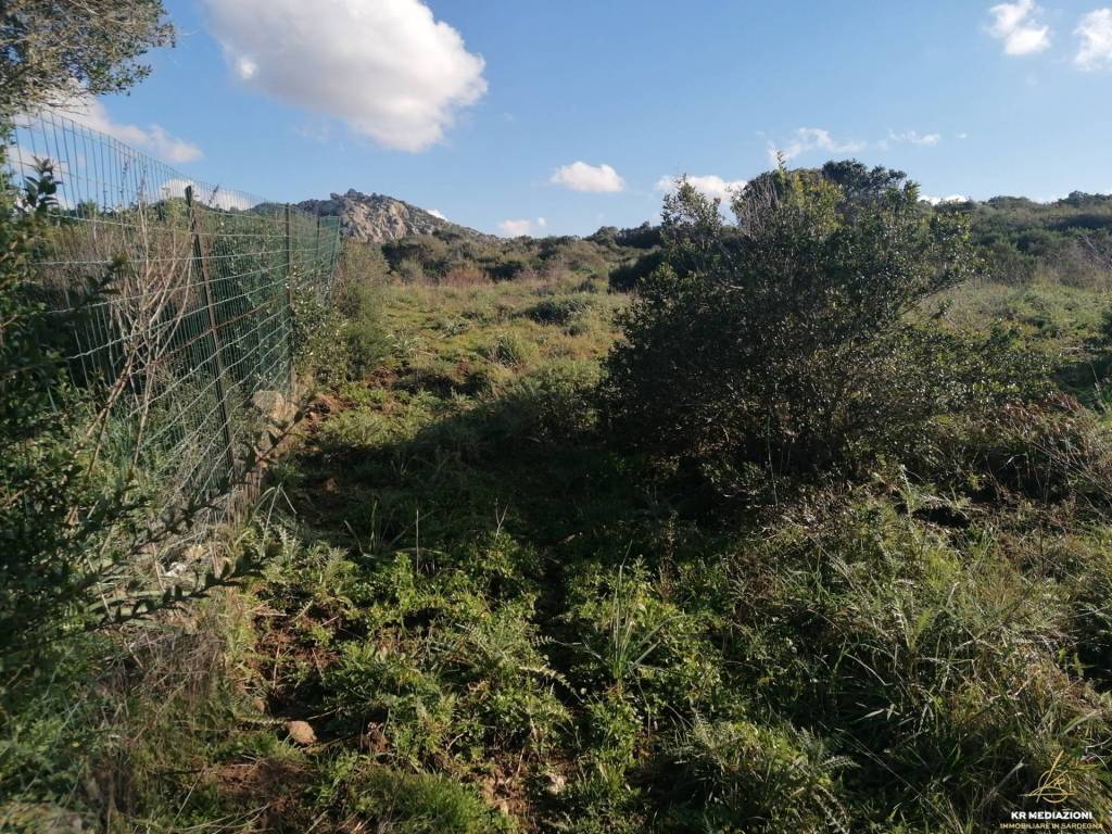 Terreno a Aglientu - Foto 4