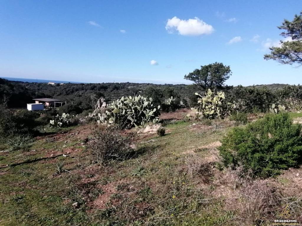 Terreno a Aglientu - Foto 5