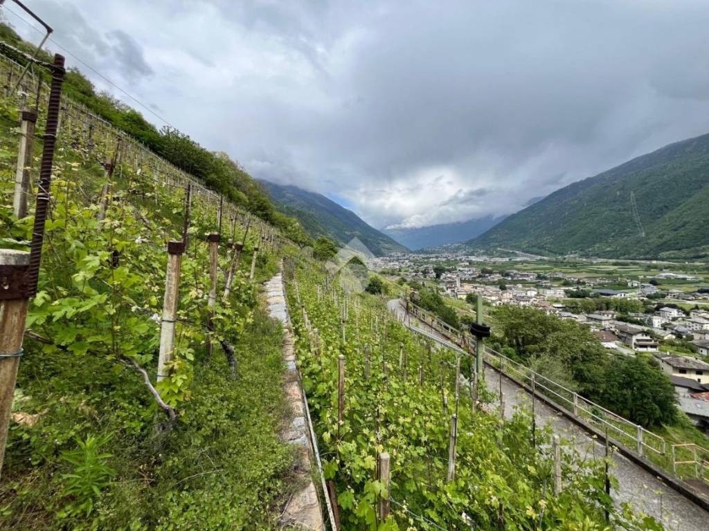 Terreno a Villa di tirano in Via Derada, 23 - Foto 2