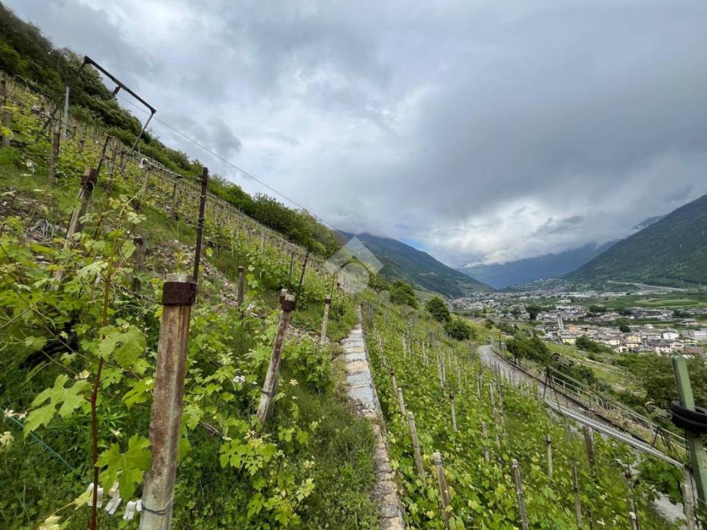 Terreno a Villa di tirano in Via Derada, 23 - Foto 3