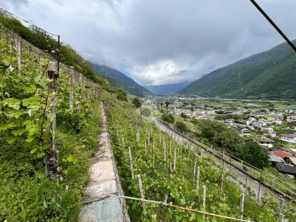 Terreno a Villa di tirano in Via Derada, 23 - Foto 4