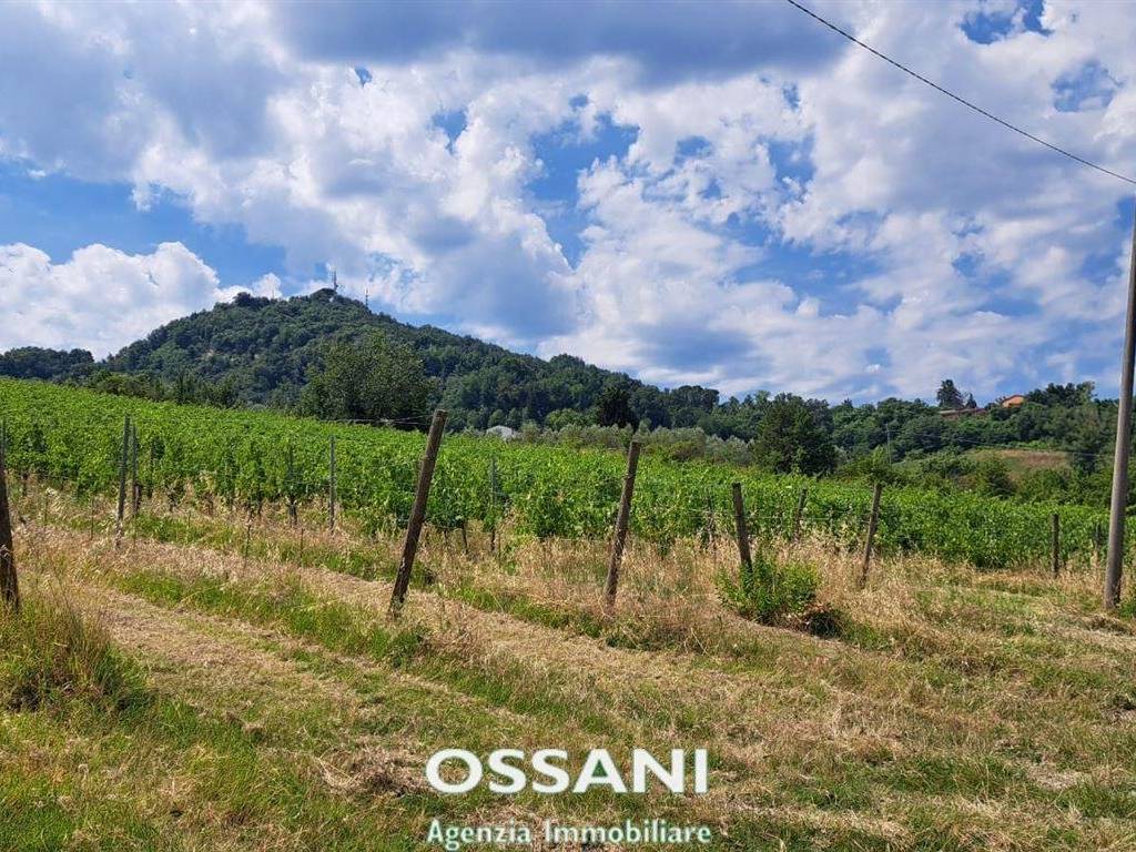 Terreno a Brisighella in via stradello, 12 - Foto 2