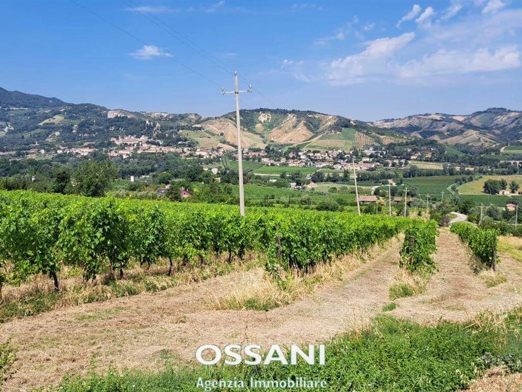 Terreno a Brisighella in via stradello, 12 - Foto 3