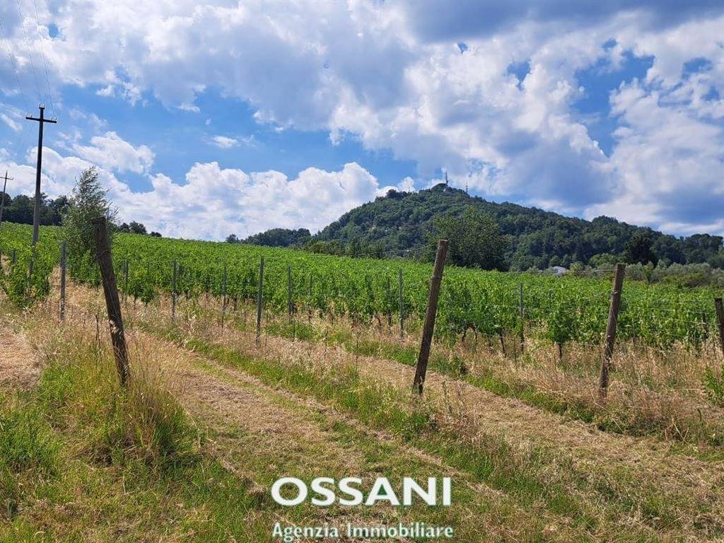 Terreno a Brisighella in via stradello, 12 - Foto 4