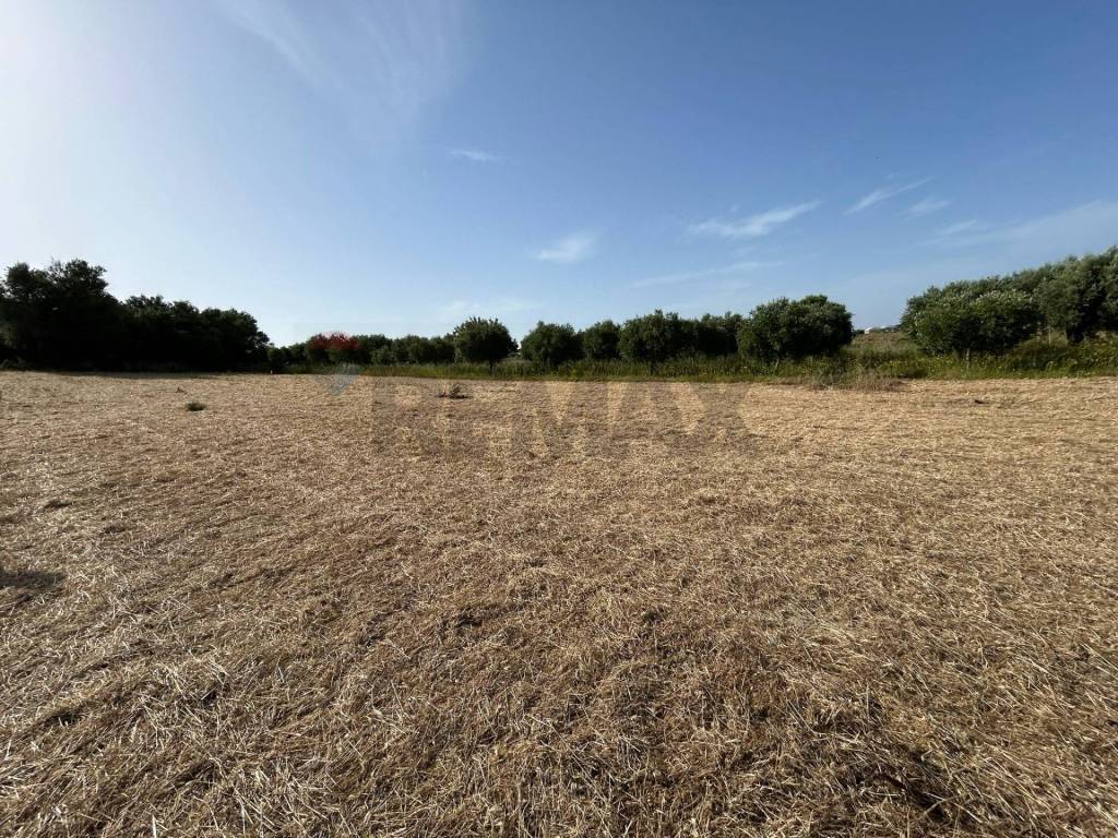 Terreno a Pachino in Contrada Vadalazzo - Foto 3