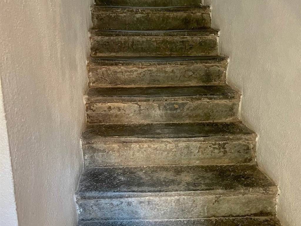 Appartamento a Castagneto carducci - Foto 4