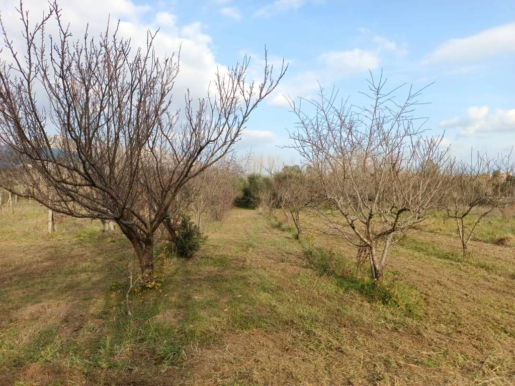 Rustico / casale a Pontelatone in Fontana Pila - Foto 3