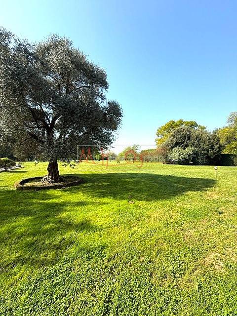 Villa a Selvazzano dentro - Foto 3