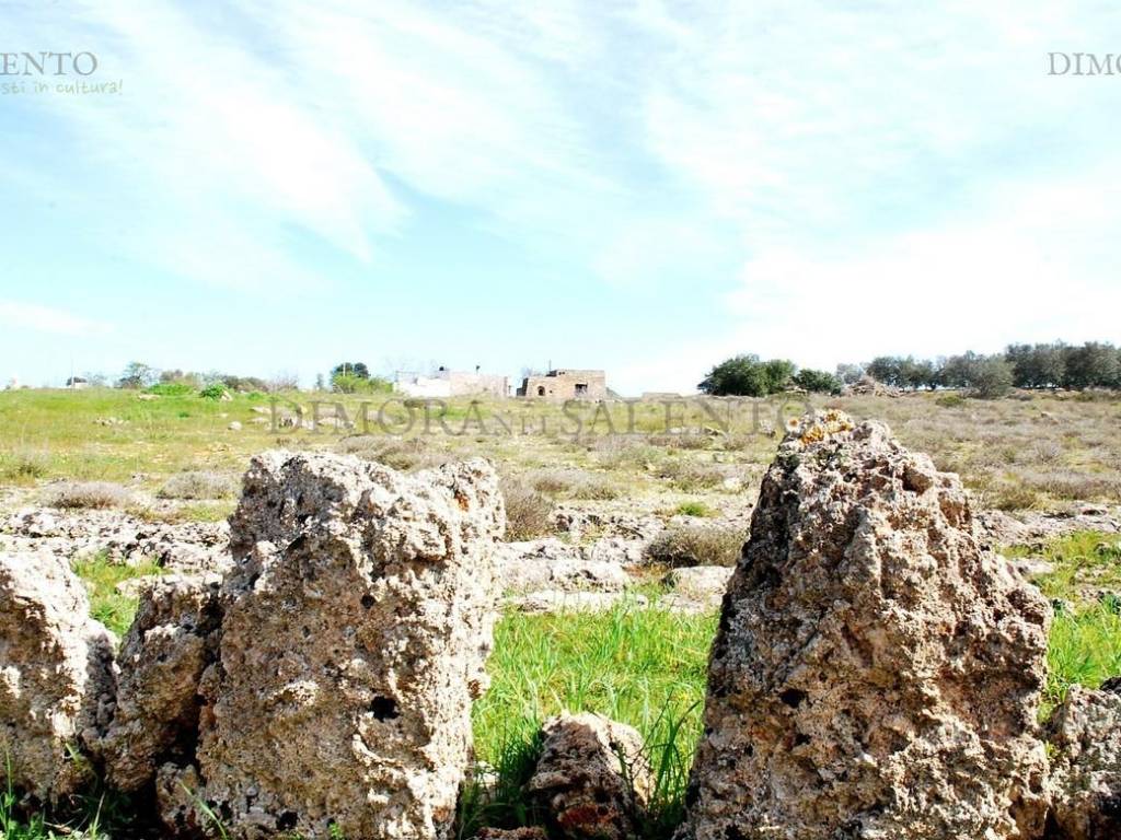 Rustico / casale a Morciano di leuca in VIA SANT'ORONZO - Foto 5
