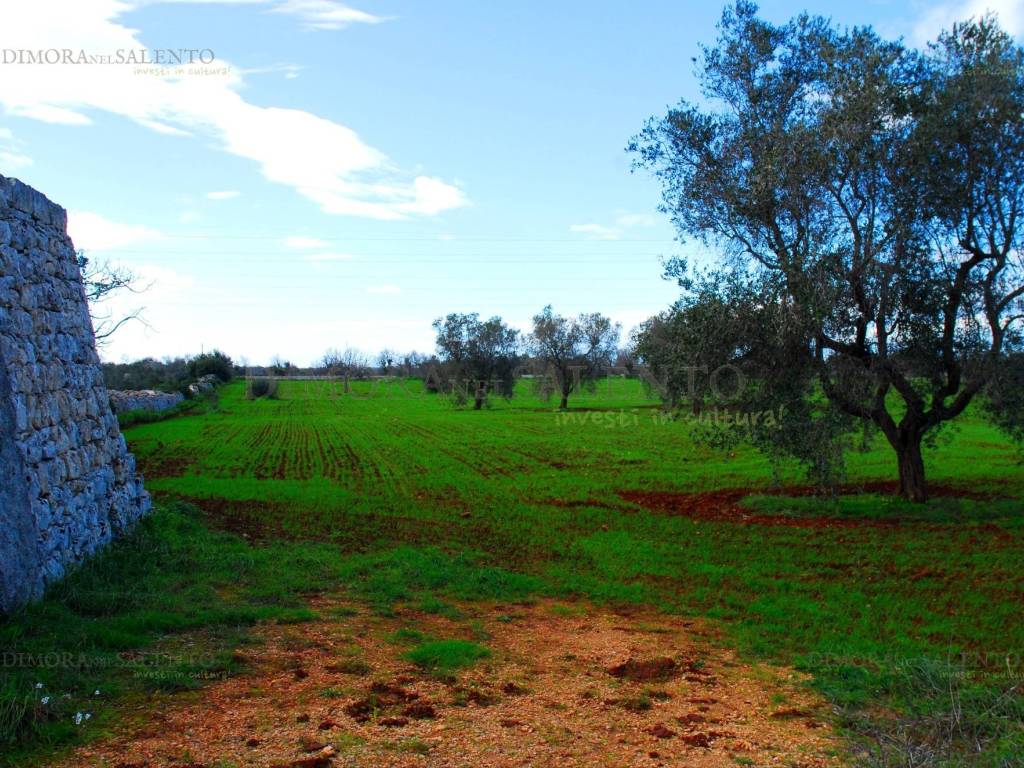 Rustico / casale a Alessano - Foto 4