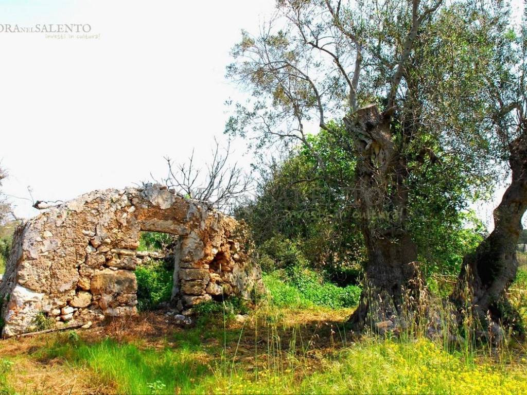 Terreno a Salve in Strada Vicinale Palombara - Foto 3